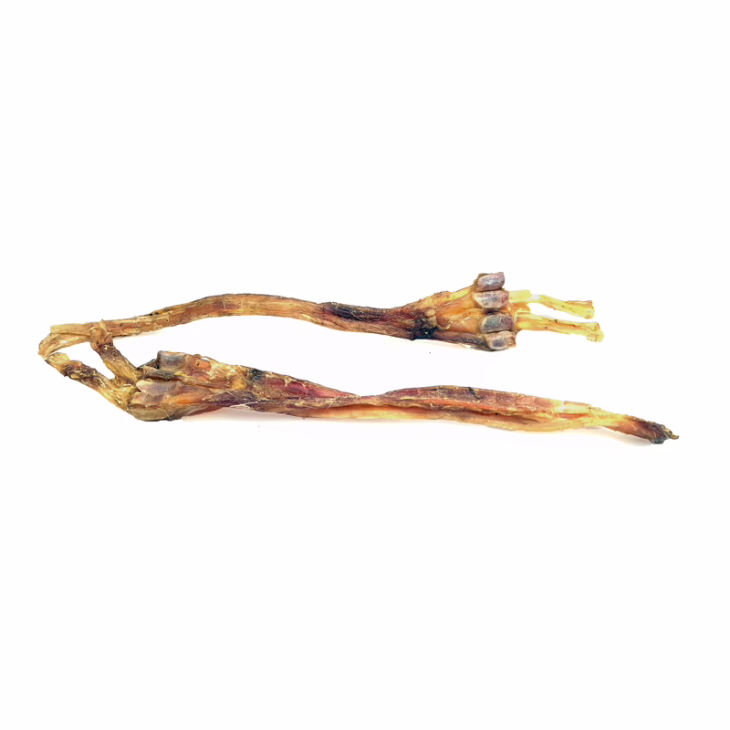 Apalache | Tendon d'Achille de cerf