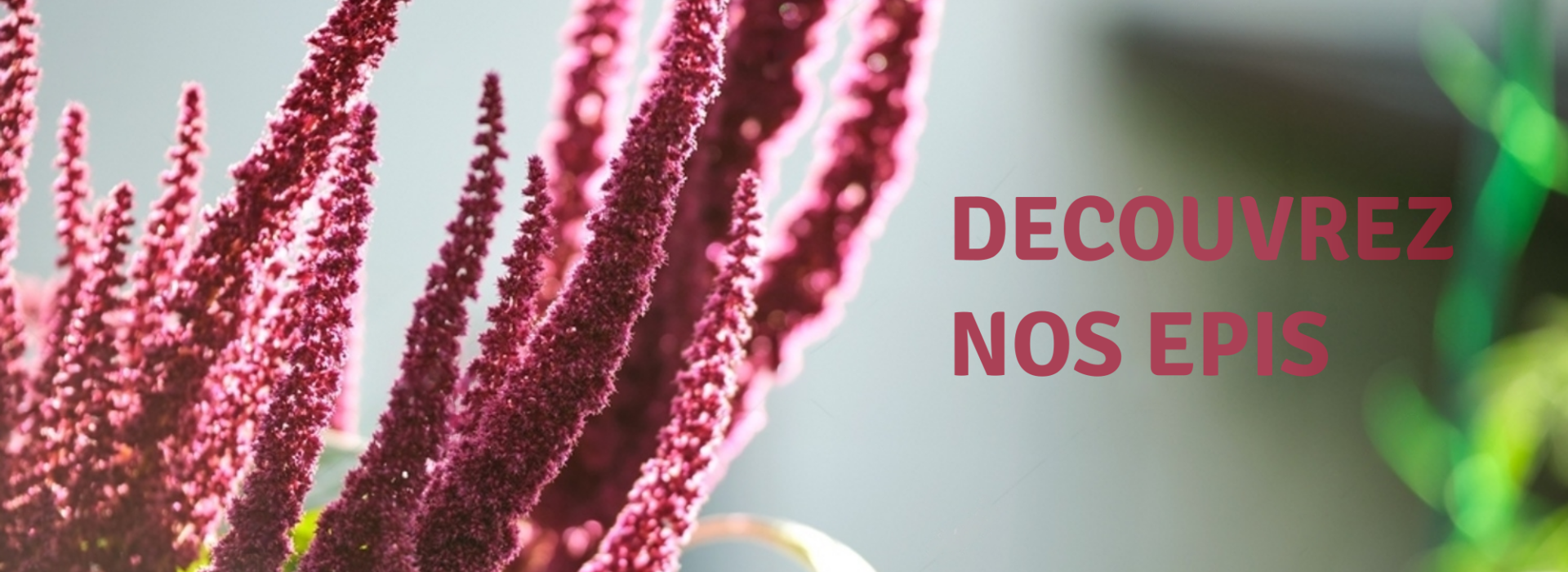 BANNIERE_EPIS